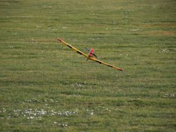 fliegen0903 69